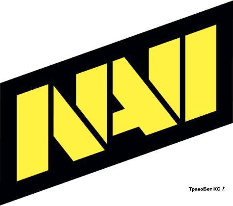 Фото из публикации Травобет CS